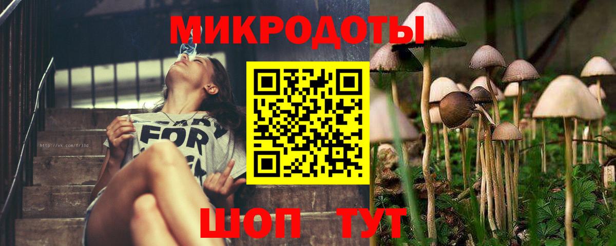сколько стоит  Галлюциногенные грибы GOLDEN TEACHER  Ярославль  Вход с VPN  Галлюциногенные грибы мухоморы 